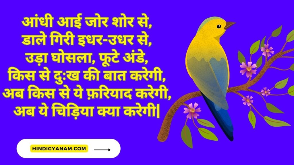  Poem on birds and animals in Hindi
