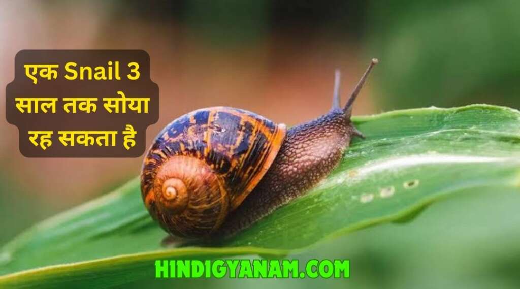 Facts in Hindi